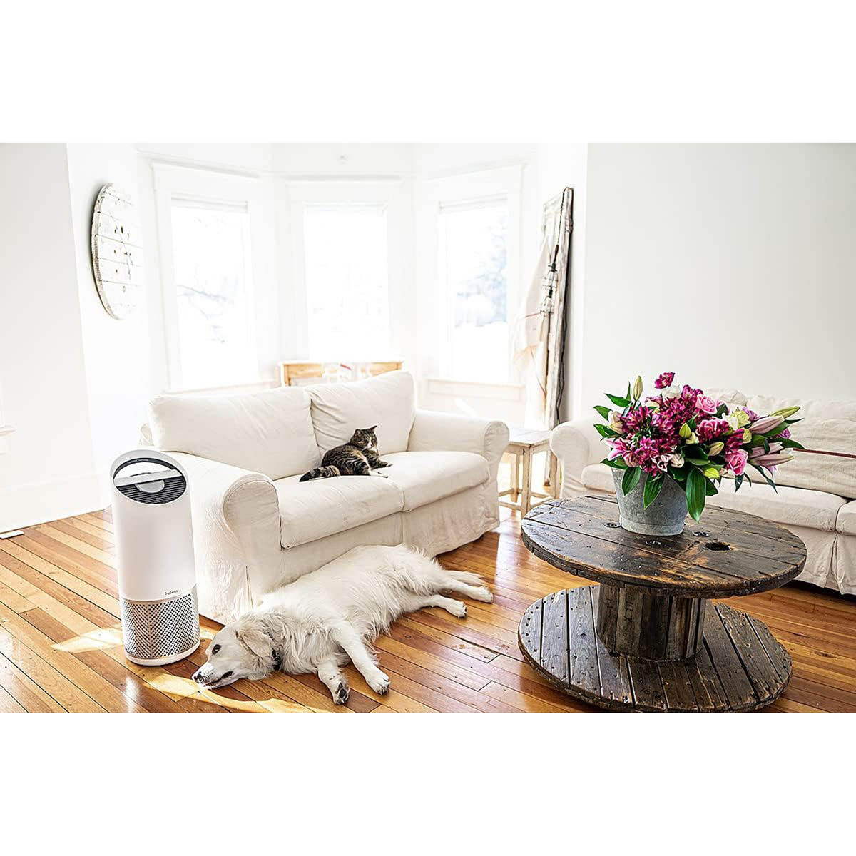 Leitz TruSens Air Purifier Z-2000 Plastic White SensorPod Air Quality Monitor - Image 8