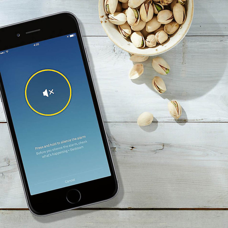 Nest Smart Smoke Alarm And Carbon Monoxide Detector White Indoor - Image 6