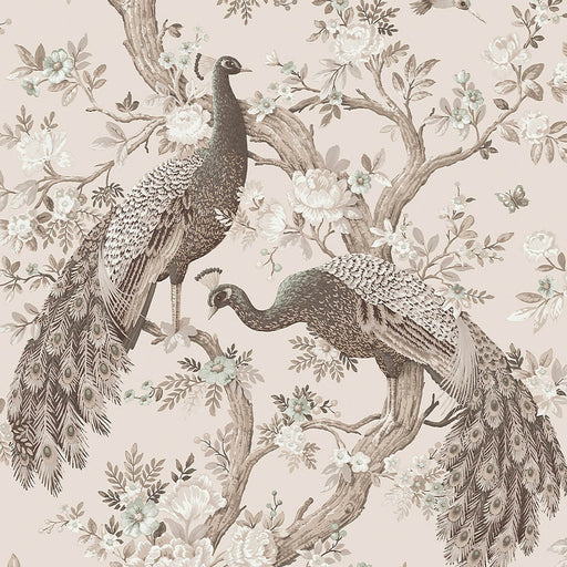 Laura Ashley Wallpaper Matt Soft Truffle Peacock Smooth Rustic Washable 5.2m² - Image 1