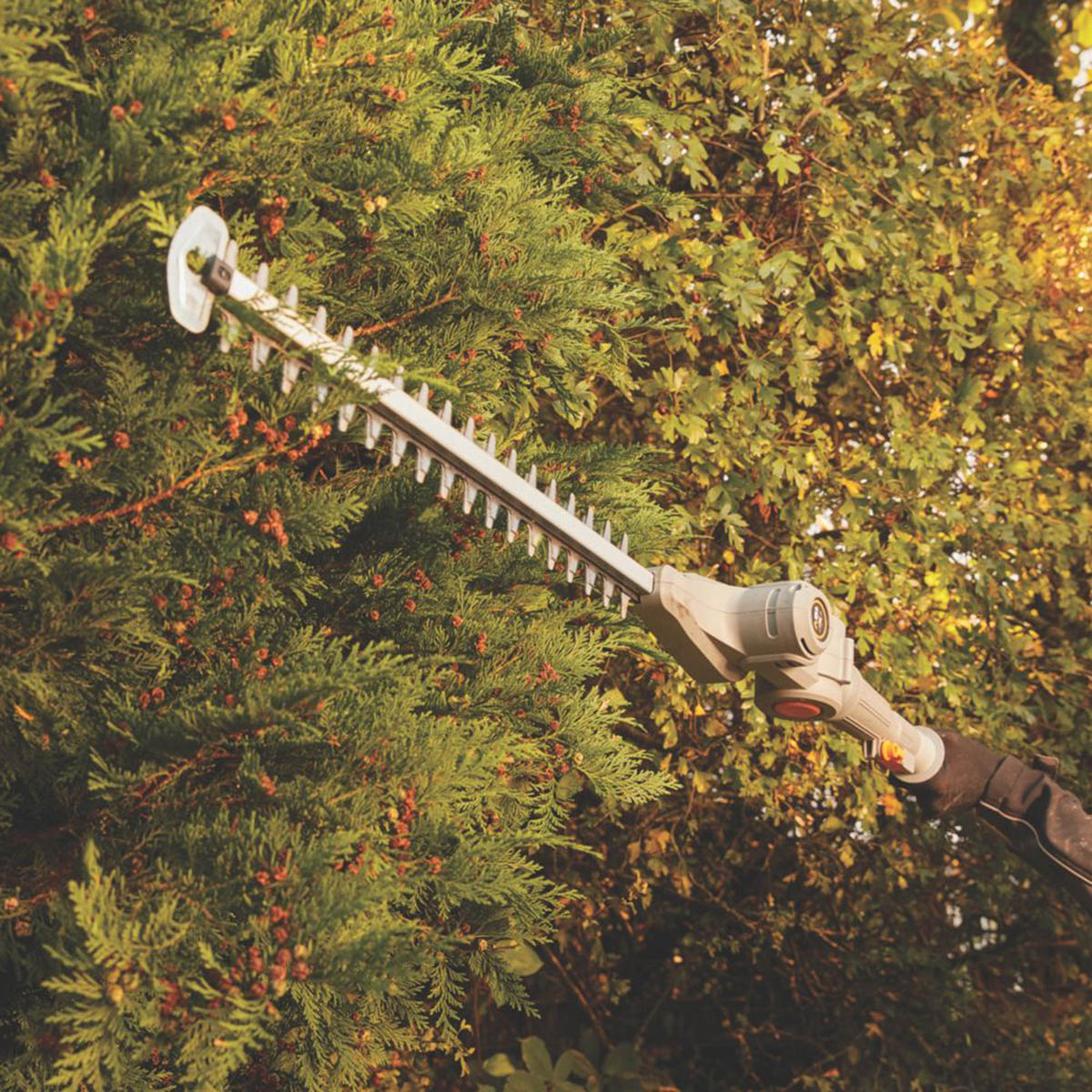 Titan Pole Hedge Trimmer Cordless 45cm 18V Li-Ion TXP Telescopic - Body Only - Image 4