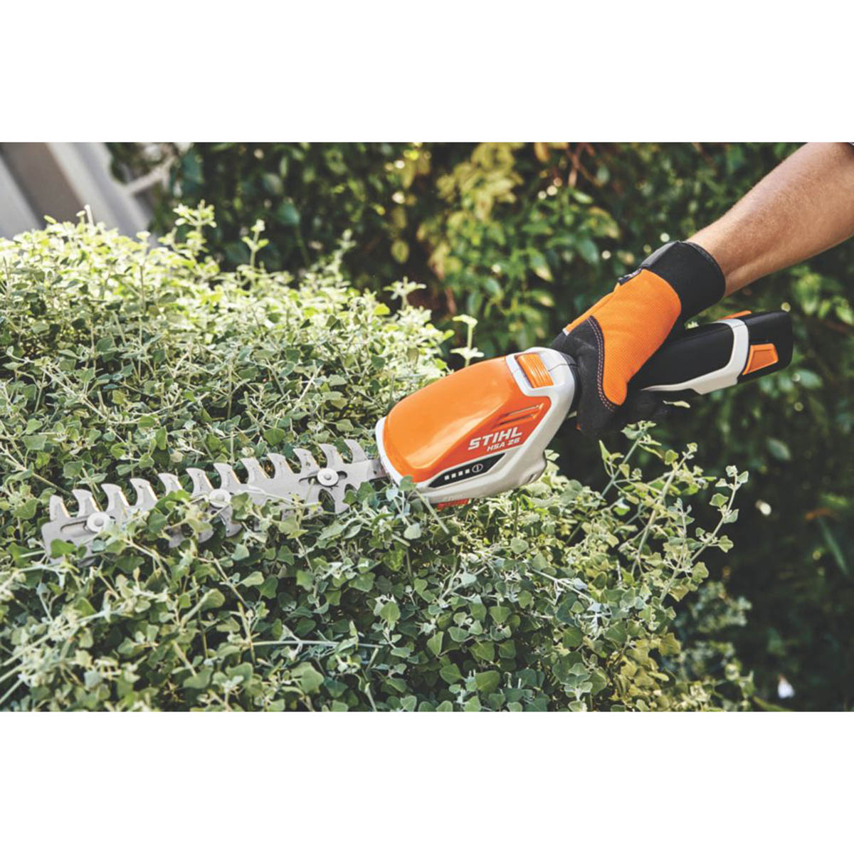 STIHL Shrub Grass Shears Cordless HSA 26 10.8V Li-Ion AS System Body Only - Image 4